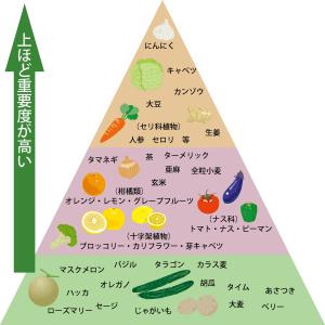 免疫力 高める 食品 ピラミッド