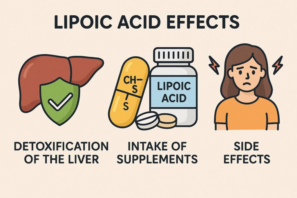 α-リポ酸の効果や肝臓への働き、解毒作用を詳しく解説。サプリメントの適切な摂取量目安（100〜300mg）や、注意すべき低血糖などの副作用についても分かりやすくまとめています。