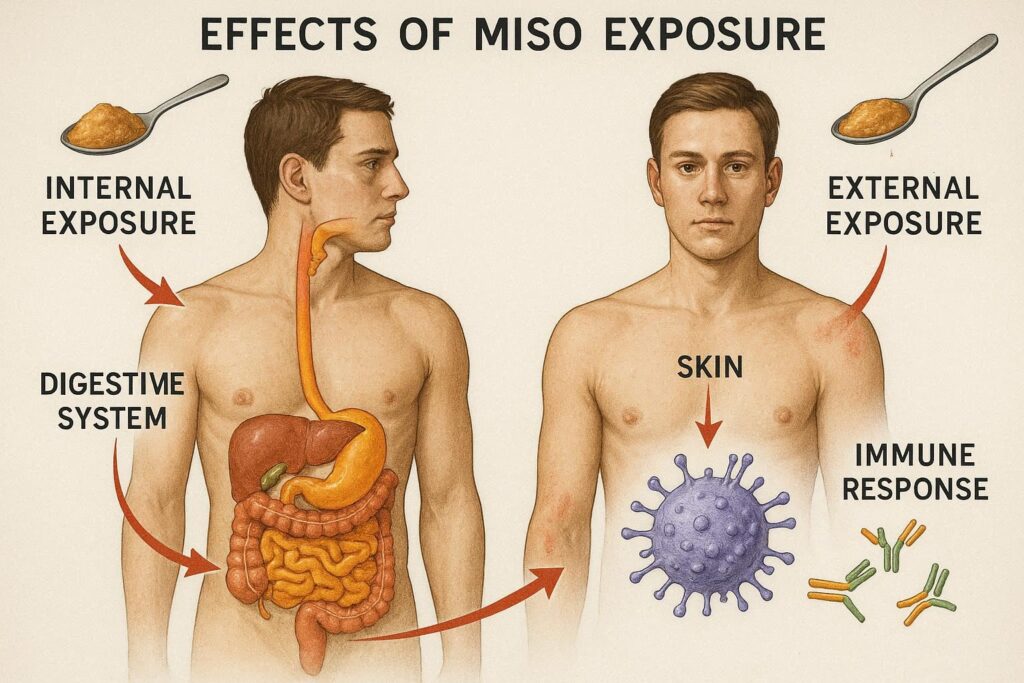 みそ 内部被曝 外部被曝 効果