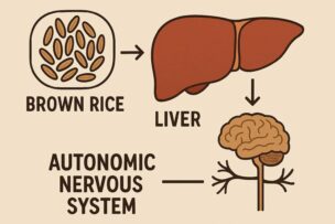玄米 効果 肝臓 自律神経