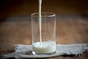 牛乳 毎日 1 杯で善玉菌が増加